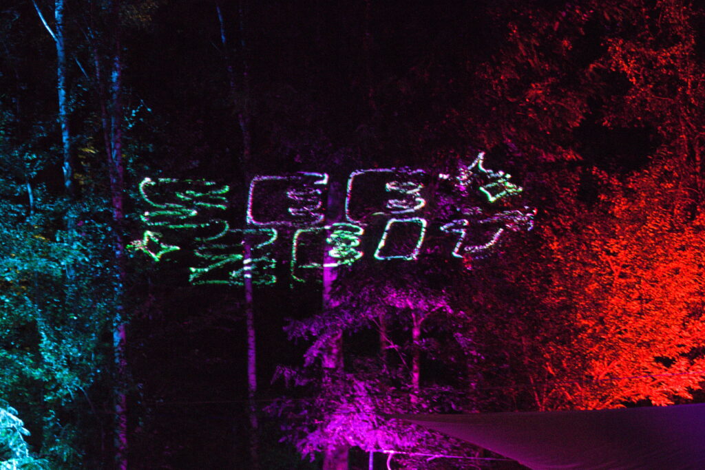 Der Schriftzug "SeeZeit" wird von einem Showlaser in verschiedenen Farben auf Bäume projeziert.